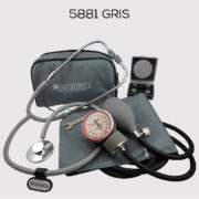 5881gris