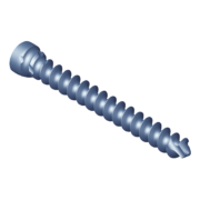 Cancellous Screw